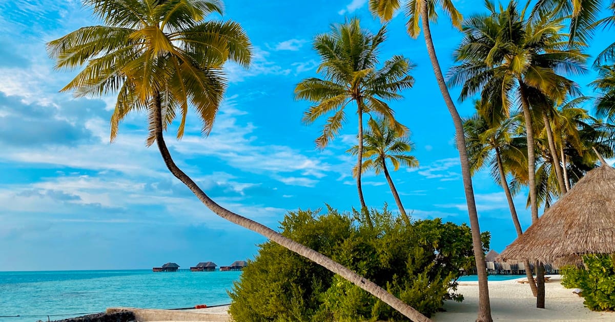 Peak District vandring og natur