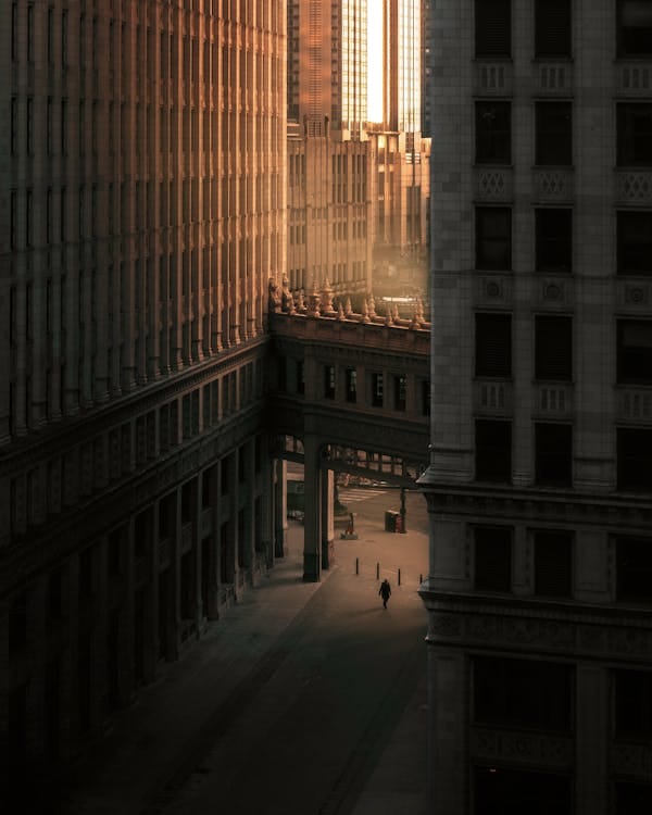 Thames flodbus på Themsen London