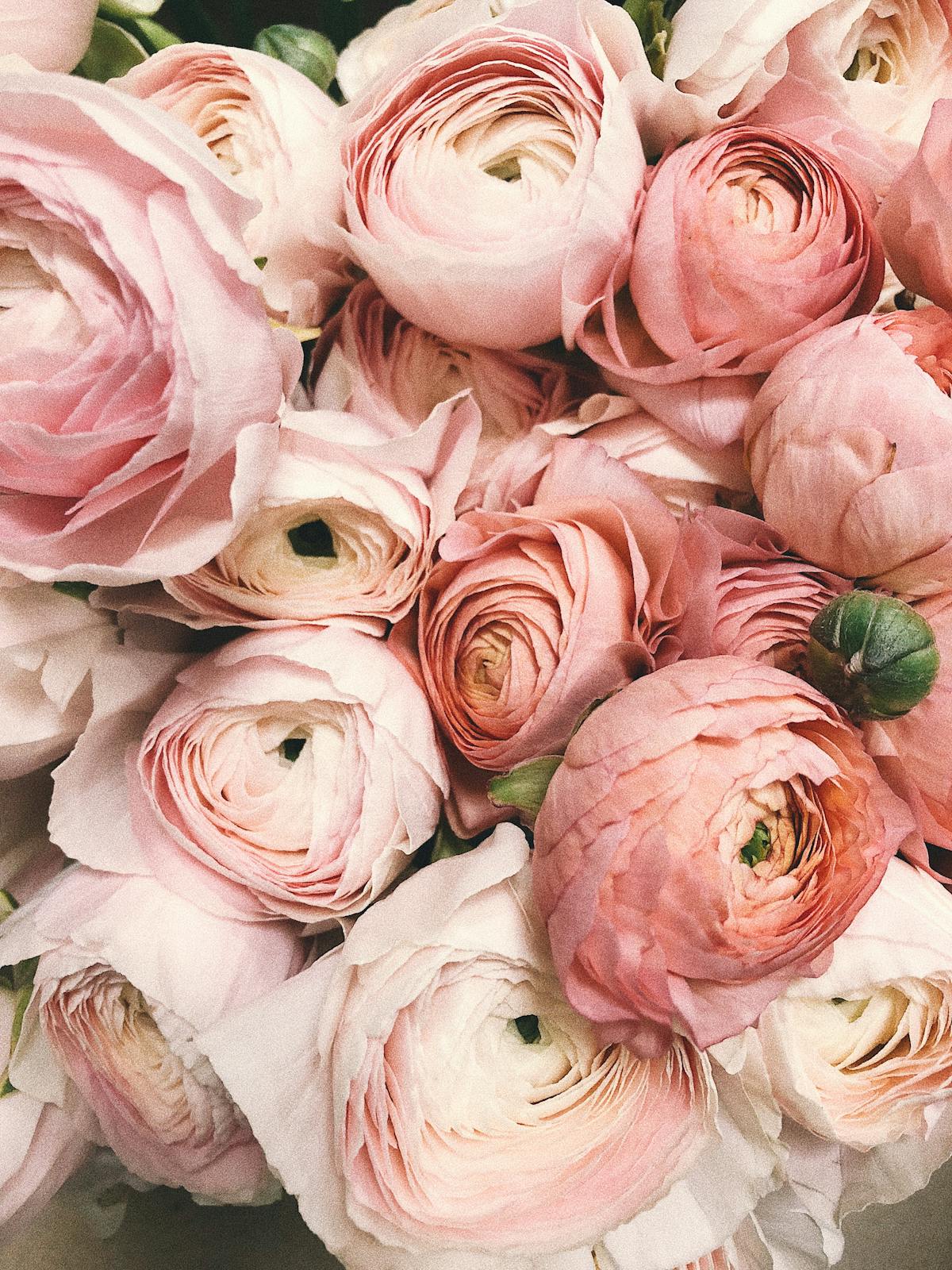 Chelsea Flower Show blomsterhave i London