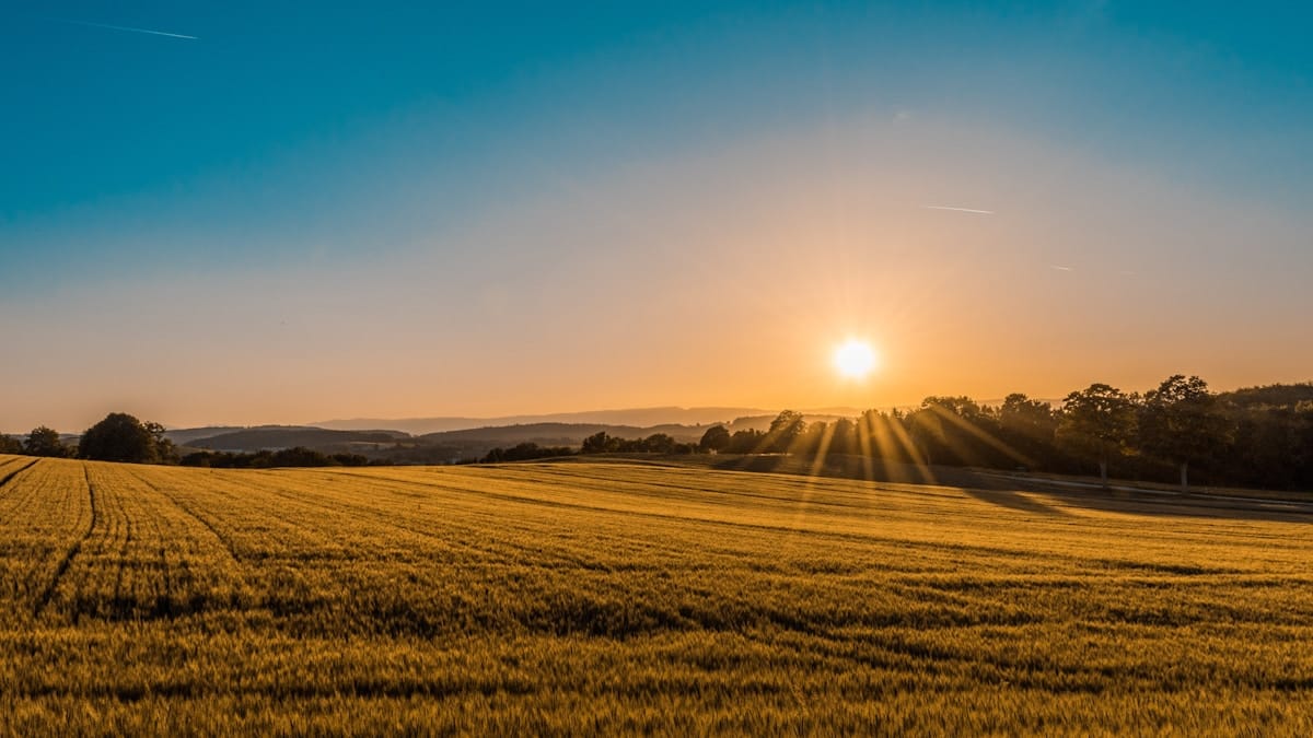 UK ETA prisstigning: Fra £16 til £20 den 8. april 2026 travel image