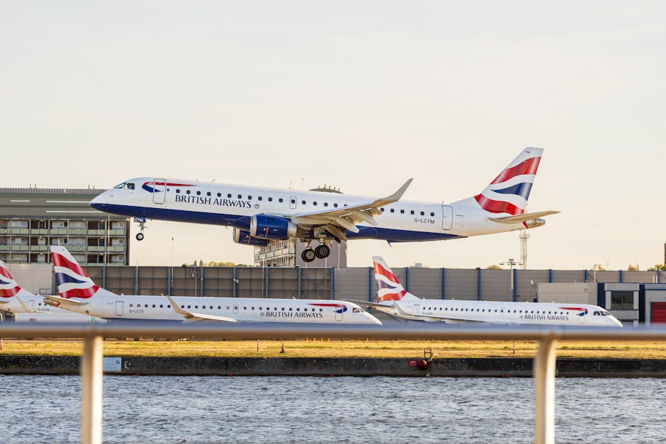 transport fly tog faerge