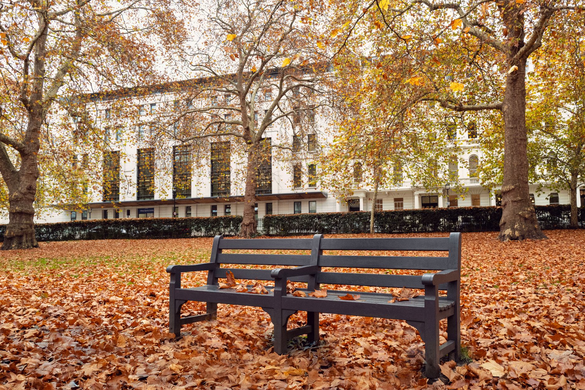 Efterårsgade i London med faldne blade og folk i varmt tøj i november