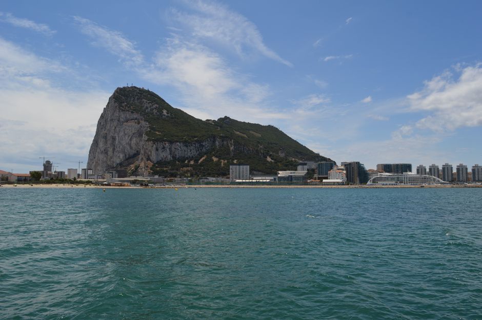 Fly på landingsbanen ved Gibraltars lufthavn tæt på grænsen til Spanien